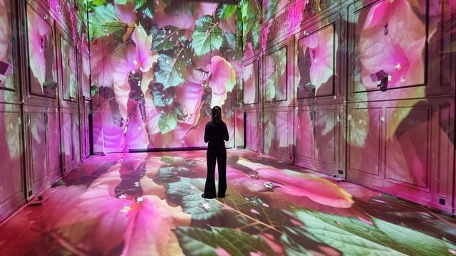 Superradiance - Xtopia Hope Istanbul 2024 - 20241205_172044